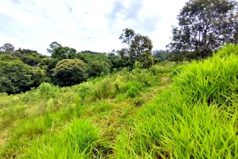 terreno grande 6.000 m² vista para a represa jaguari a venda em joanópolis (14)