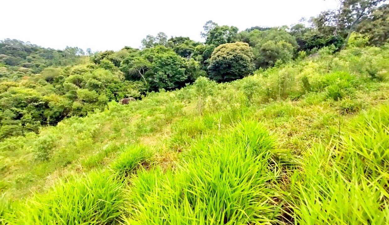 terreno grande 6.000 m² vista para a represa jaguari a venda em joanópolis (15)