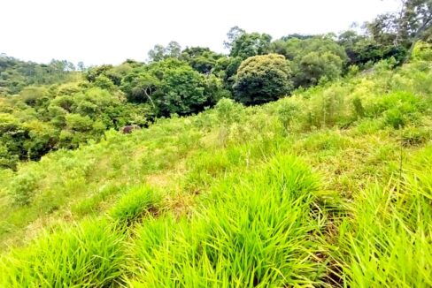 terreno grande 6.000 m² vista para a represa jaguari a venda em joanópolis (15)