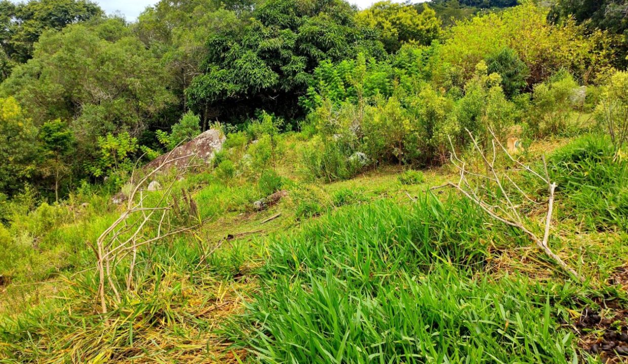 terreno grande 6.000 m² vista para a represa jaguari a venda em joanópolis (18)