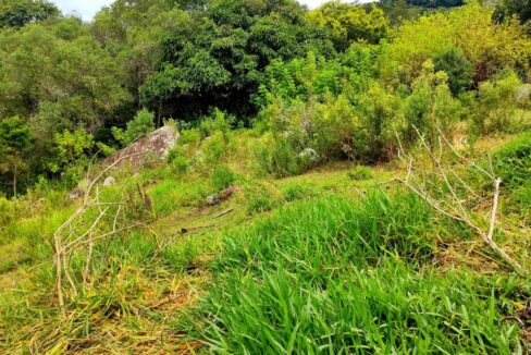 terreno grande 6.000 m² vista para a represa jaguari a venda em joanópolis (18)