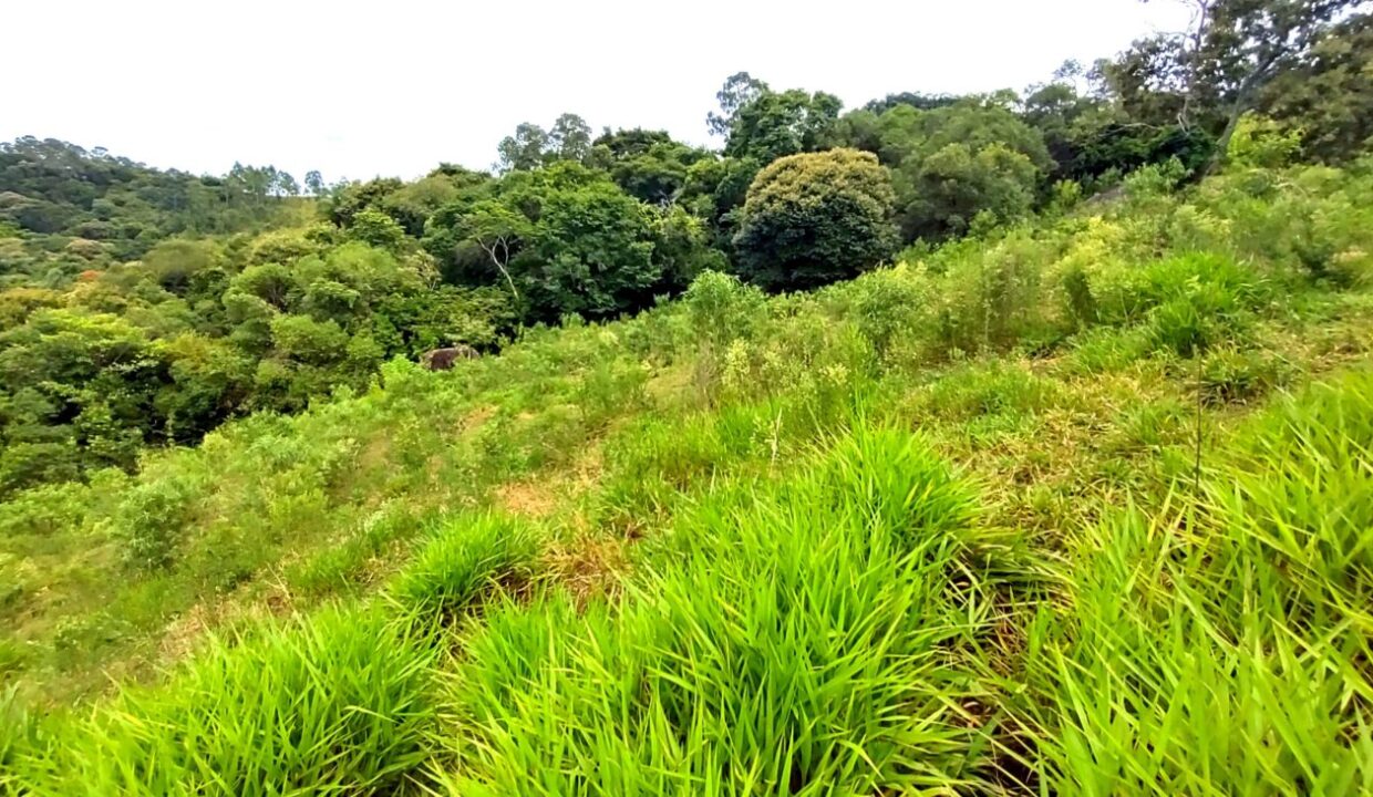 terreno grande 6.000 m² vista para a represa jaguari a venda em joanópolis (2)