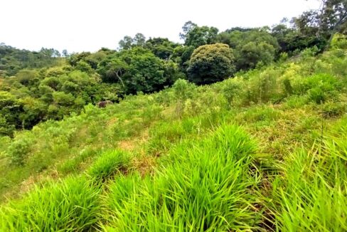 terreno grande 6.000 m² vista para a represa jaguari a venda em joanópolis (2)