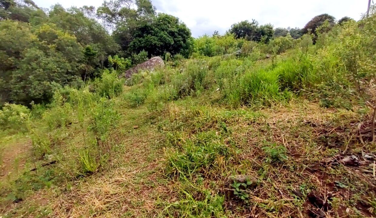 terreno grande 6.000 m² vista para a represa jaguari a venda em joanópolis (6)