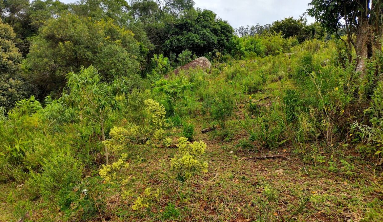 terreno grande 6.000 m² vista para a represa jaguari a venda em joanópolis (7)