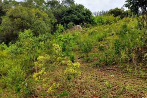 terreno grande 6.000 m² vista para a represa jaguari a venda em joanópolis (7)