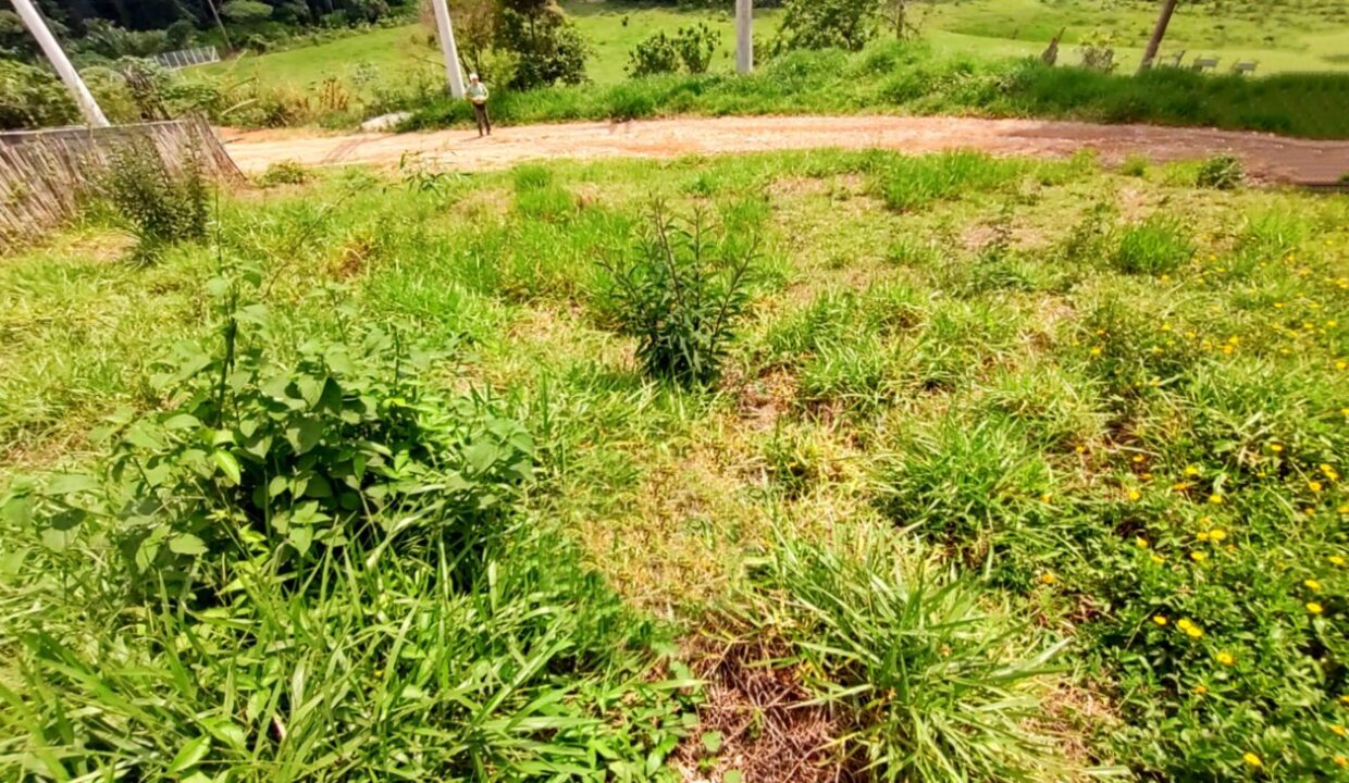 Terreno barato a venda joanópolis estrada cachoeira dos pretos (2)