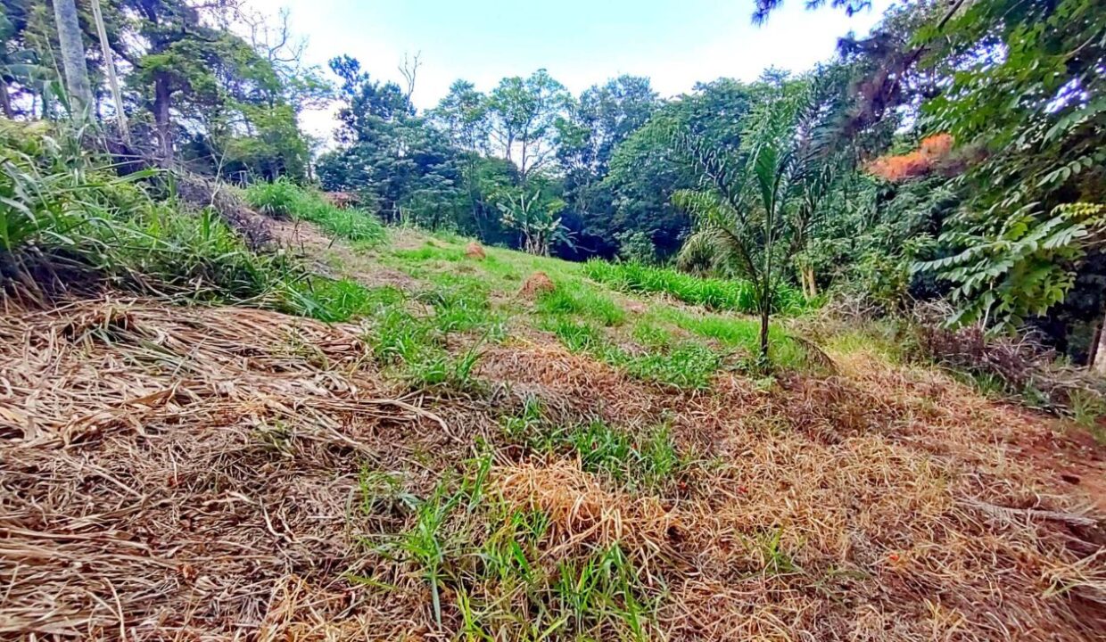 sítios chácara a venda bragança paulista 26.000 metros quadrados, bairro Mãe dos Homens (15)