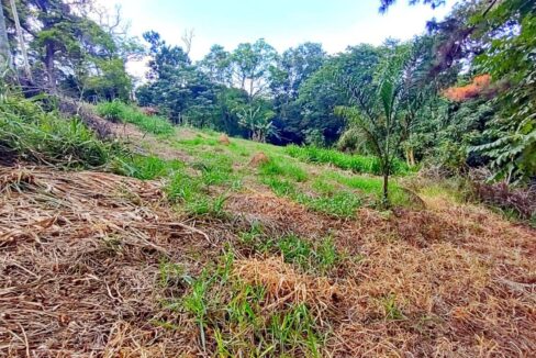 sítios chácara a venda bragança paulista 26.000 metros quadrados, bairro Mãe dos Homens (15)