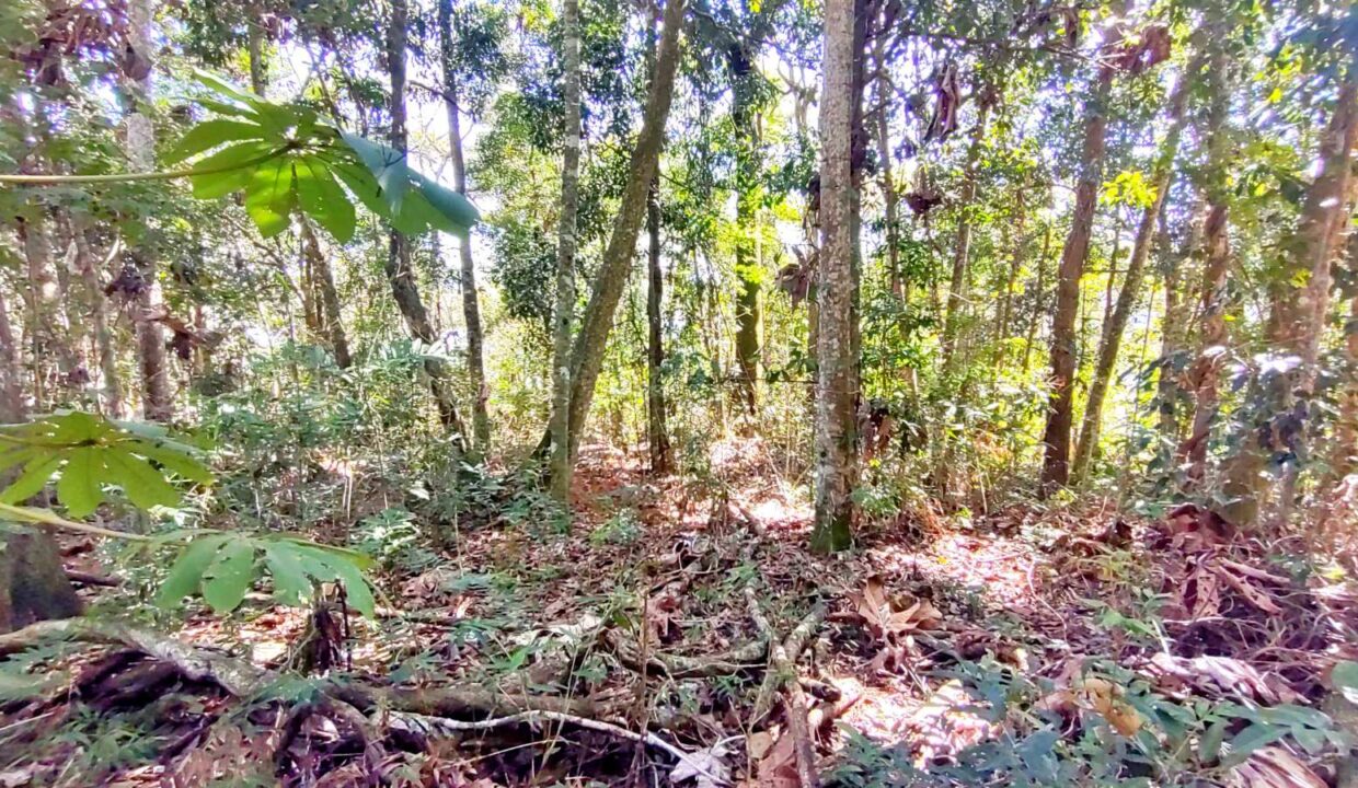 terreno a venda pé na água acesso exclusivo a represa Jaguari em Joanopolis interior de SP (14)