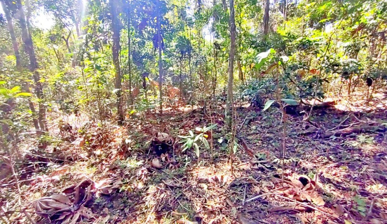 terreno a venda pé na água acesso exclusivo a represa Jaguari em Joanopolis interior de SP (15)