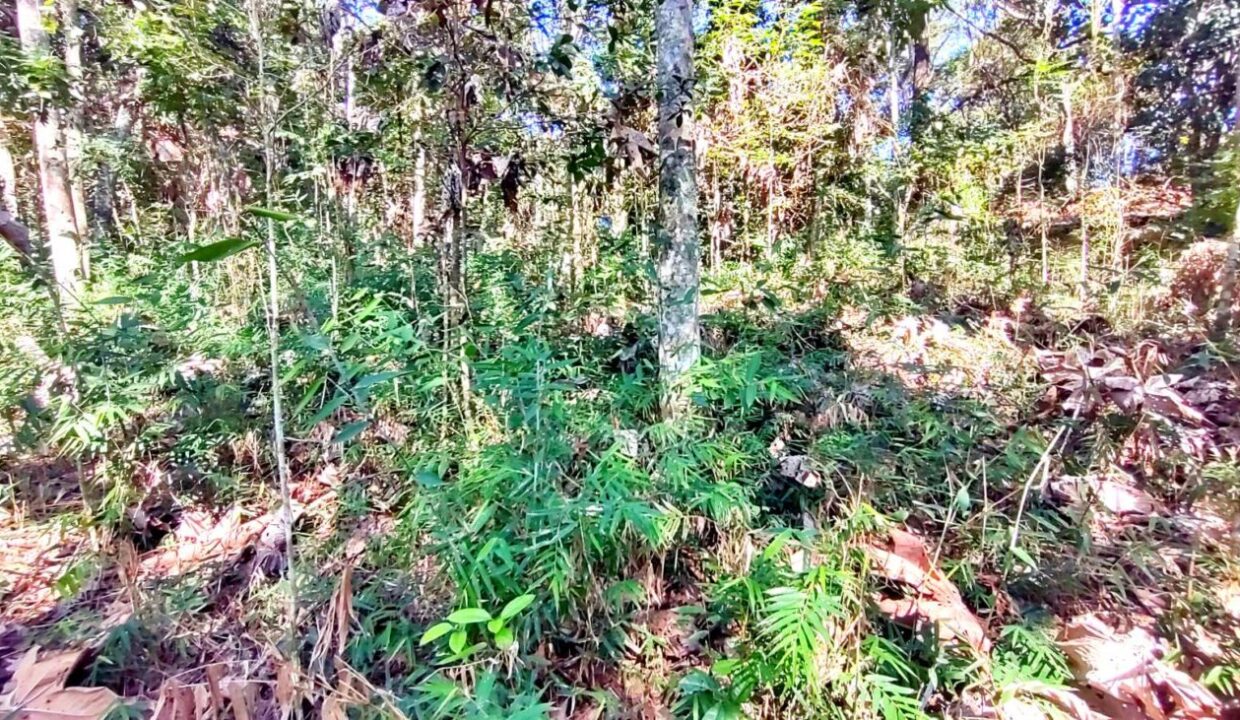 terreno a venda pé na água acesso exclusivo a represa Jaguari em Joanopolis interior de SP (18)