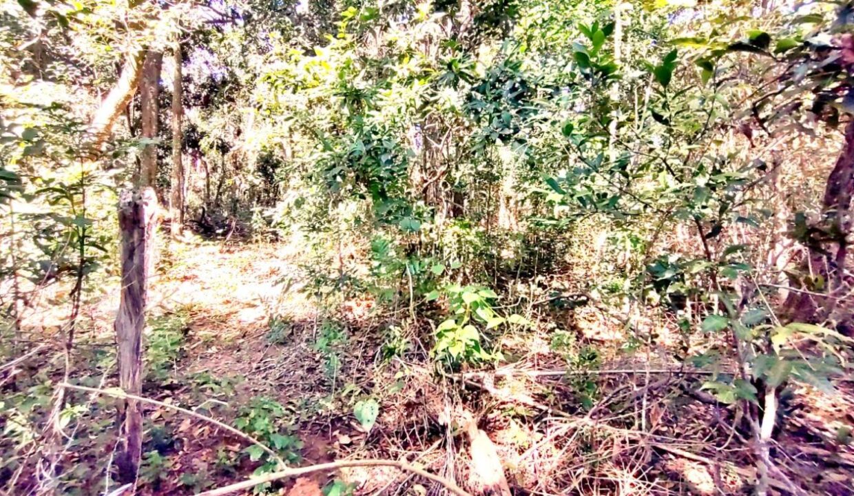 terreno a venda pé na água acesso exclusivo a represa Jaguari em Joanopolis interior de SP (19)