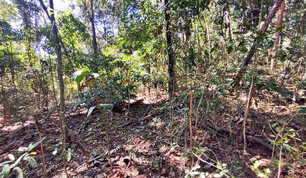 terreno a venda pé na água acesso exclusivo a represa Jaguari em Joanopolis interior de SP (2)