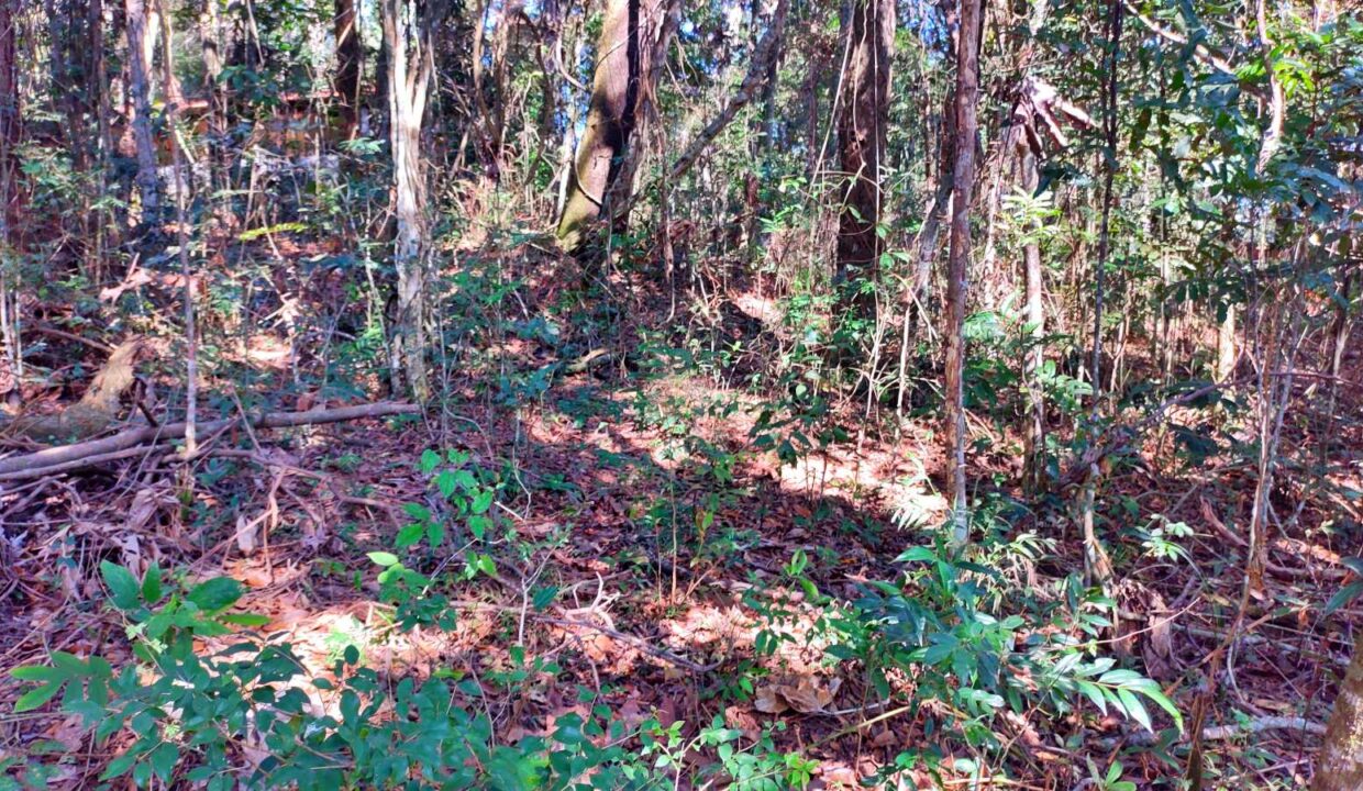 terreno a venda pé na água acesso exclusivo a represa Jaguari em Joanopolis interior de SP (6)