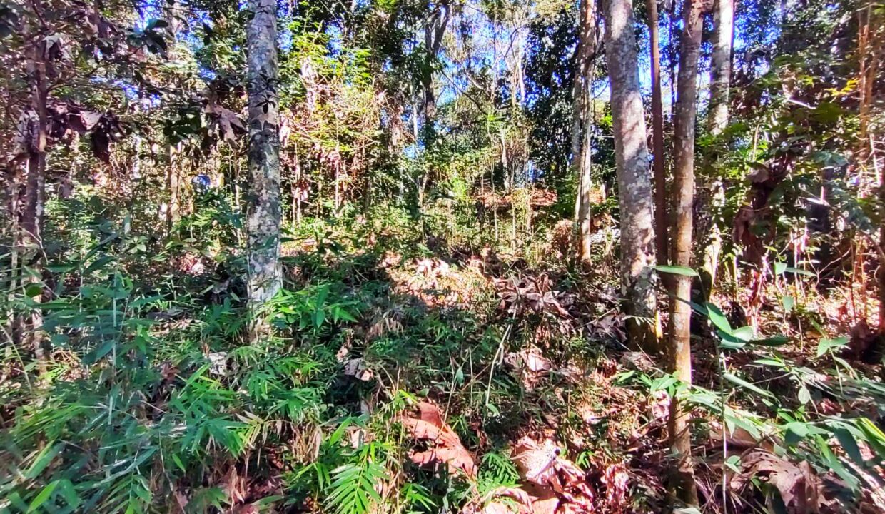 terreno a venda pé na água acesso exclusivo a represa Jaguari em Joanopolis interior de SP (7)