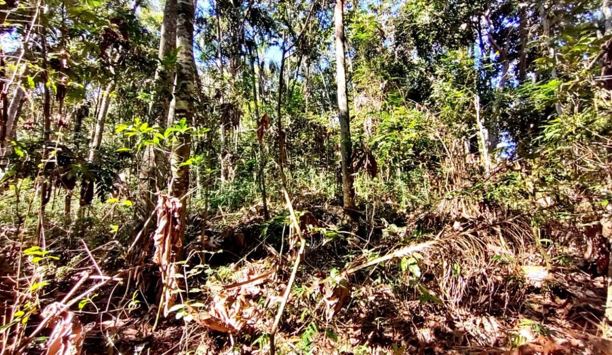 terreno a venda pé na água acesso exclusivo a represa Jaguari em Joanopolis interior de SP (9)