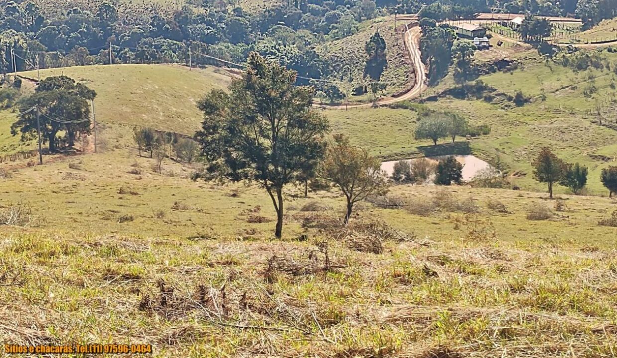 terrenos grandes-sitio, glebas rurais na montanha a venda em joanópolis interior de são paulo serra da mantiqueira (1)