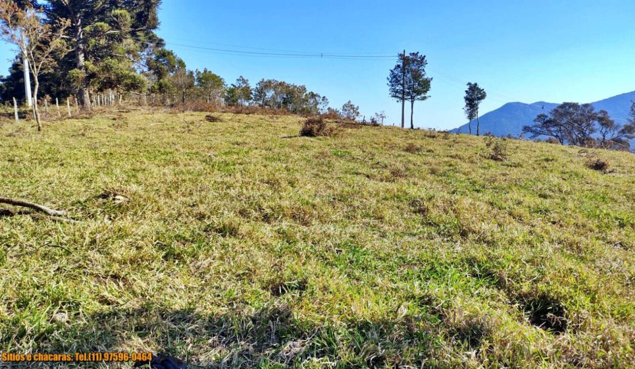 terrenos grandes-sitio, glebas rurais na montanha a venda em joanópolis interior de são paulo serra da mantiqueira (10)