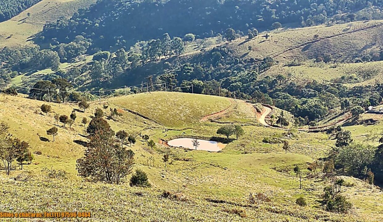 terrenos grandes-sitio, glebas rurais na montanha a venda em joanópolis interior de são paulo serra da mantiqueira (11)