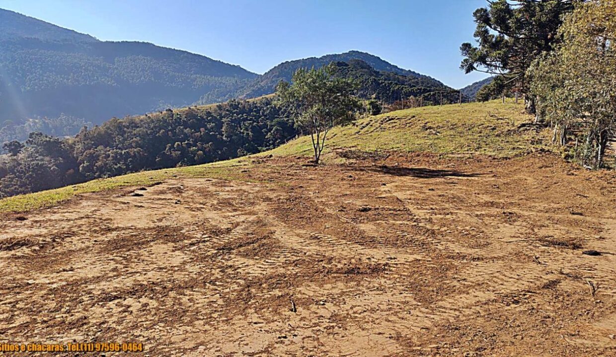 terrenos grandes-sitio, glebas rurais na montanha a venda em joanópolis interior de são paulo serra da mantiqueira (15)