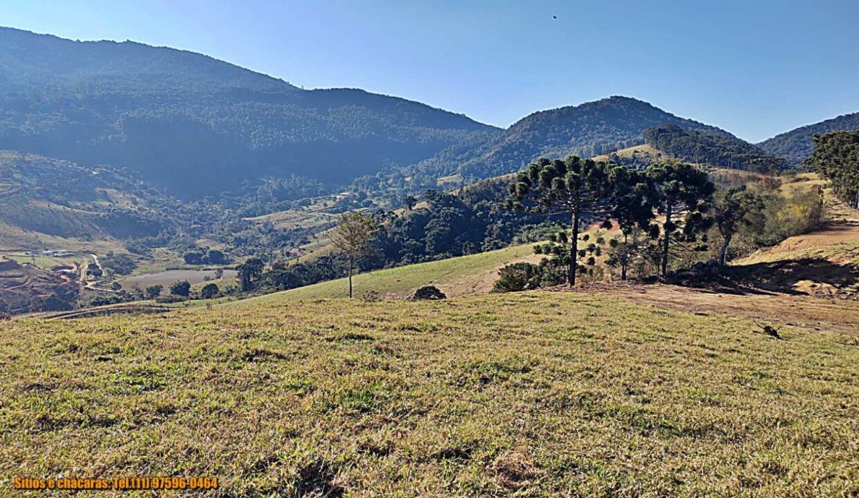 terrenos grandes-sitio, glebas rurais na montanha a venda em joanópolis interior de são paulo serra da mantiqueira (17)