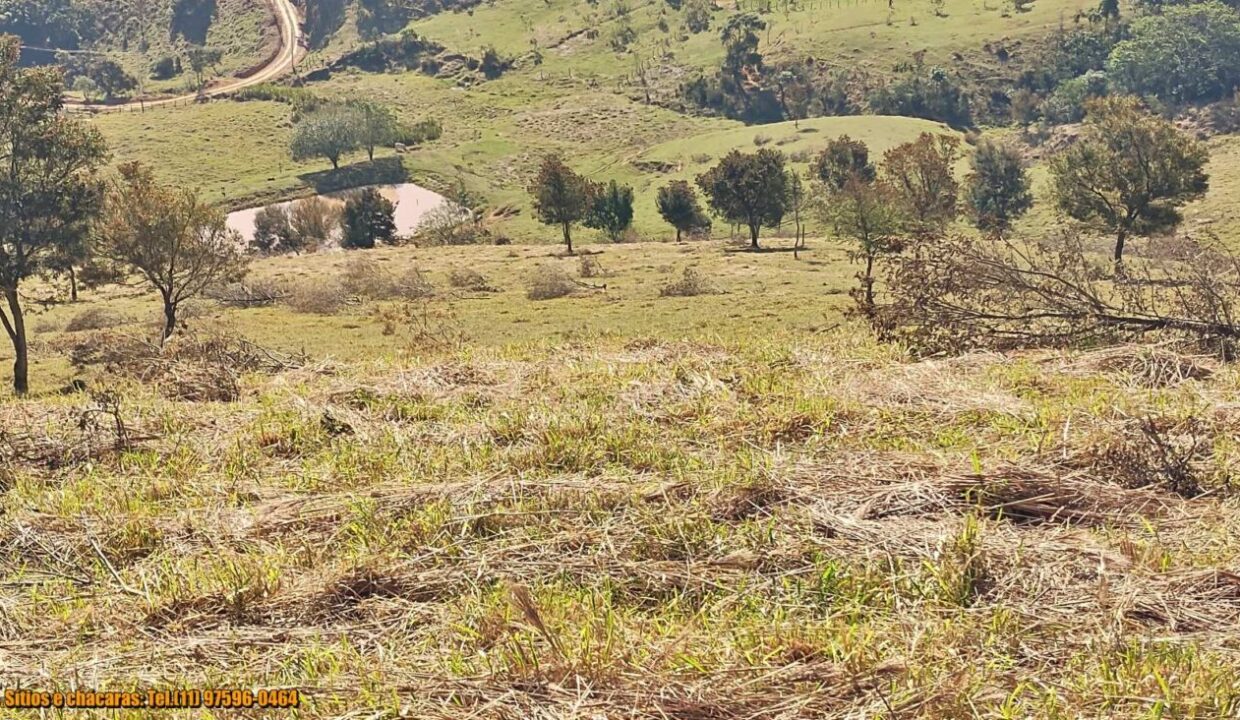 terrenos grandes-sitio, glebas rurais na montanha a venda em joanópolis interior de são paulo serra da mantiqueira (18)