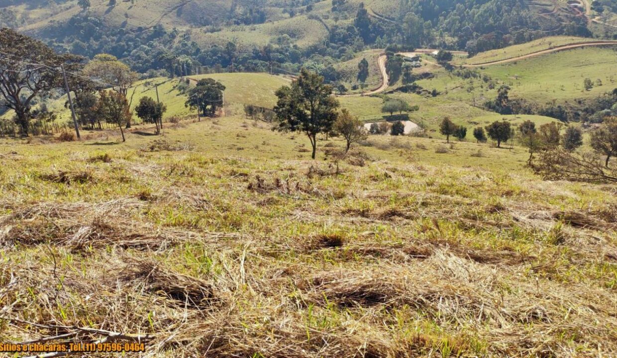 terrenos grandes-sitio, glebas rurais na montanha a venda em joanópolis interior de são paulo serra da mantiqueira (2)