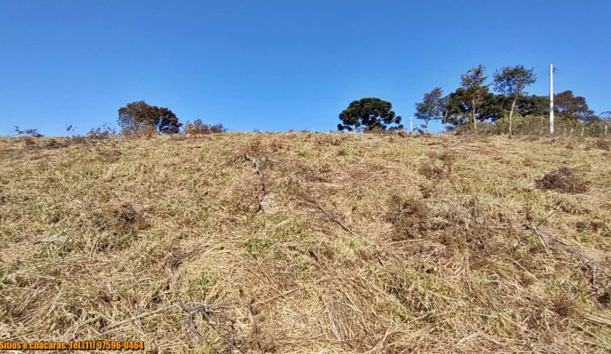 terrenos grandes-sitio, glebas rurais na montanha a venda em joanópolis interior de são paulo serra da mantiqueira (3)