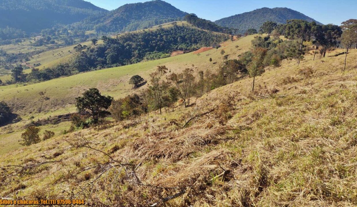 terrenos grandes-sitio, glebas rurais na montanha a venda em joanópolis interior de são paulo serra da mantiqueira (4)