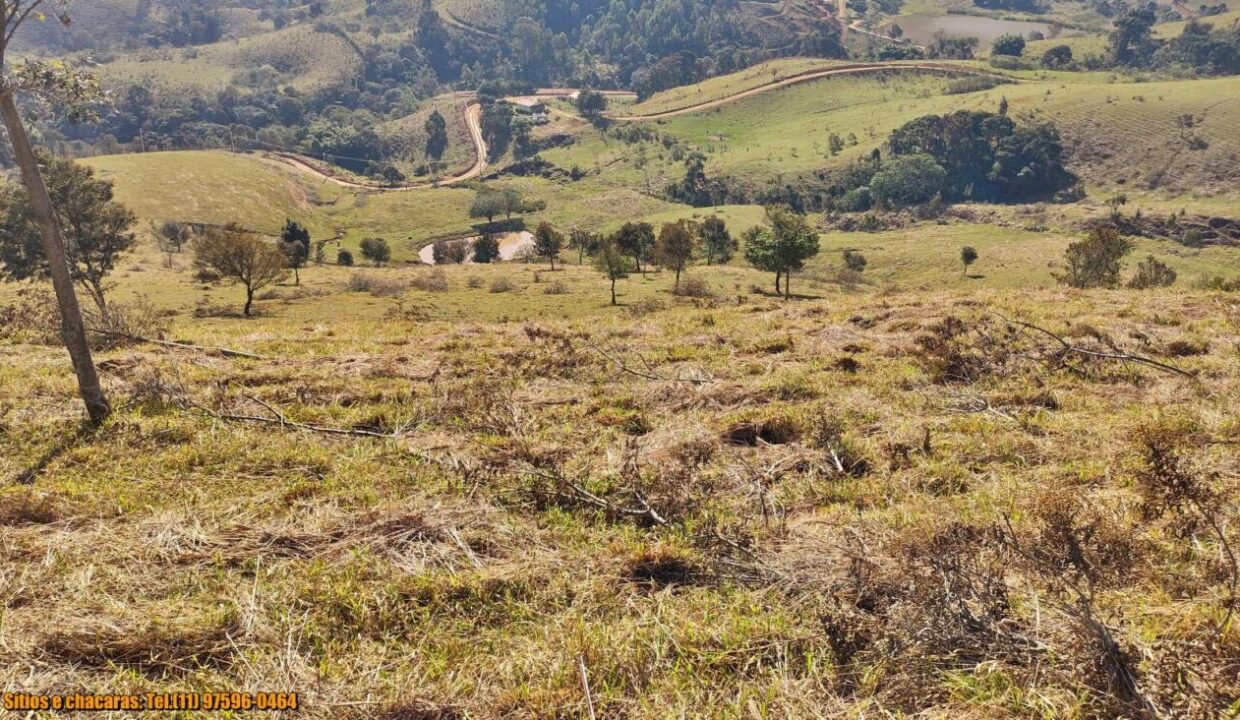 terrenos grandes-sitio, glebas rurais na montanha a venda em joanópolis interior de são paulo serra da mantiqueira (5)