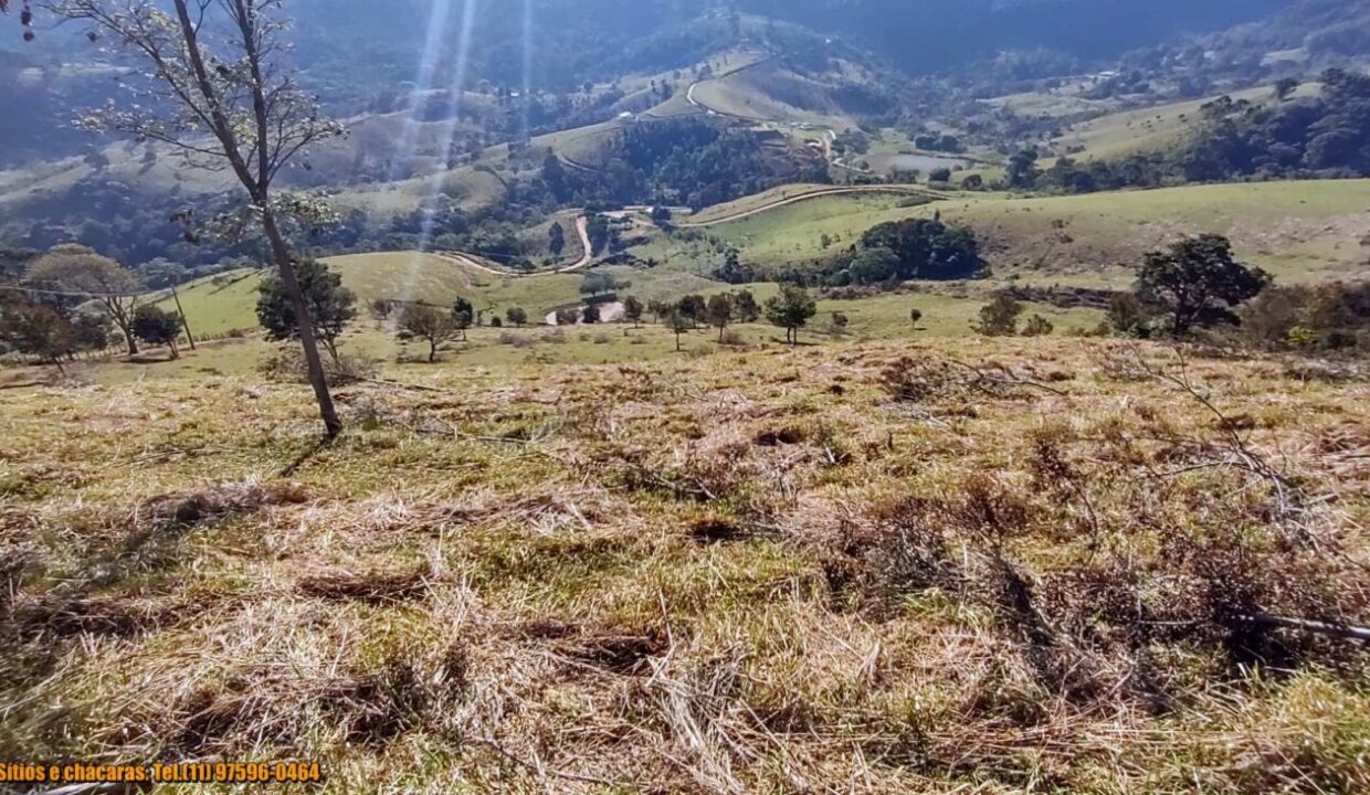 terrenos grandes-sitio, glebas rurais na montanha a venda em joanópolis interior de são paulo serra da mantiqueira (6)