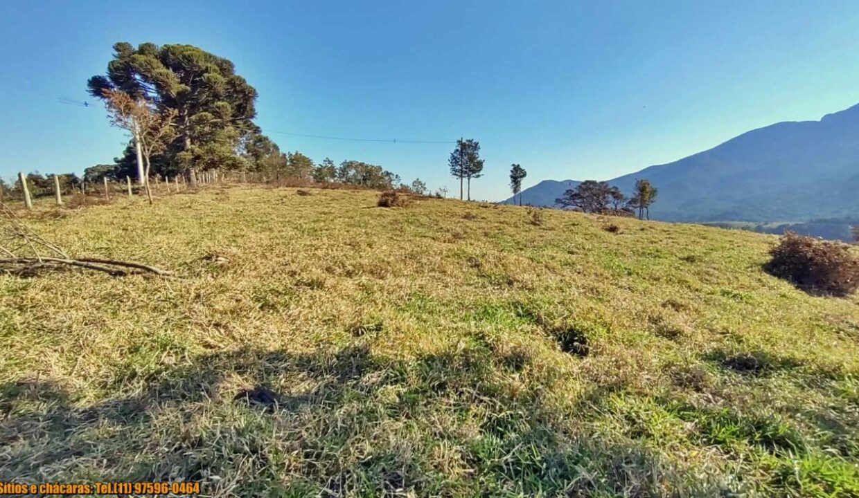 terrenos grandes-sitio, glebas rurais na montanha a venda em joanópolis interior de são paulo serra da mantiqueira (9)