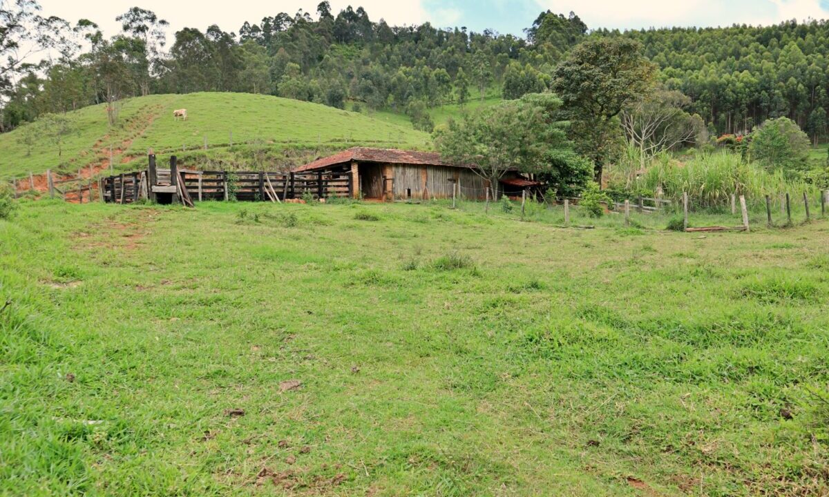 Sítio 03 alqueires venda Joanópolis-SP (25)