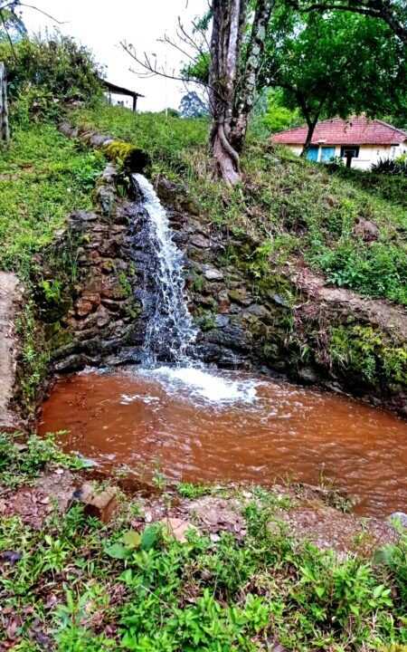 Sítio 11 alqueires a venda (4)