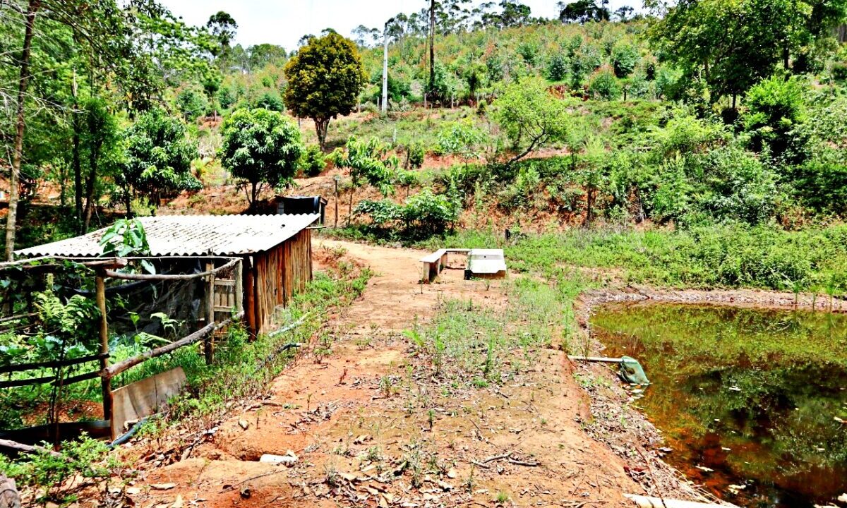 chácara 12.000 metros a venda em joanópolis (13)