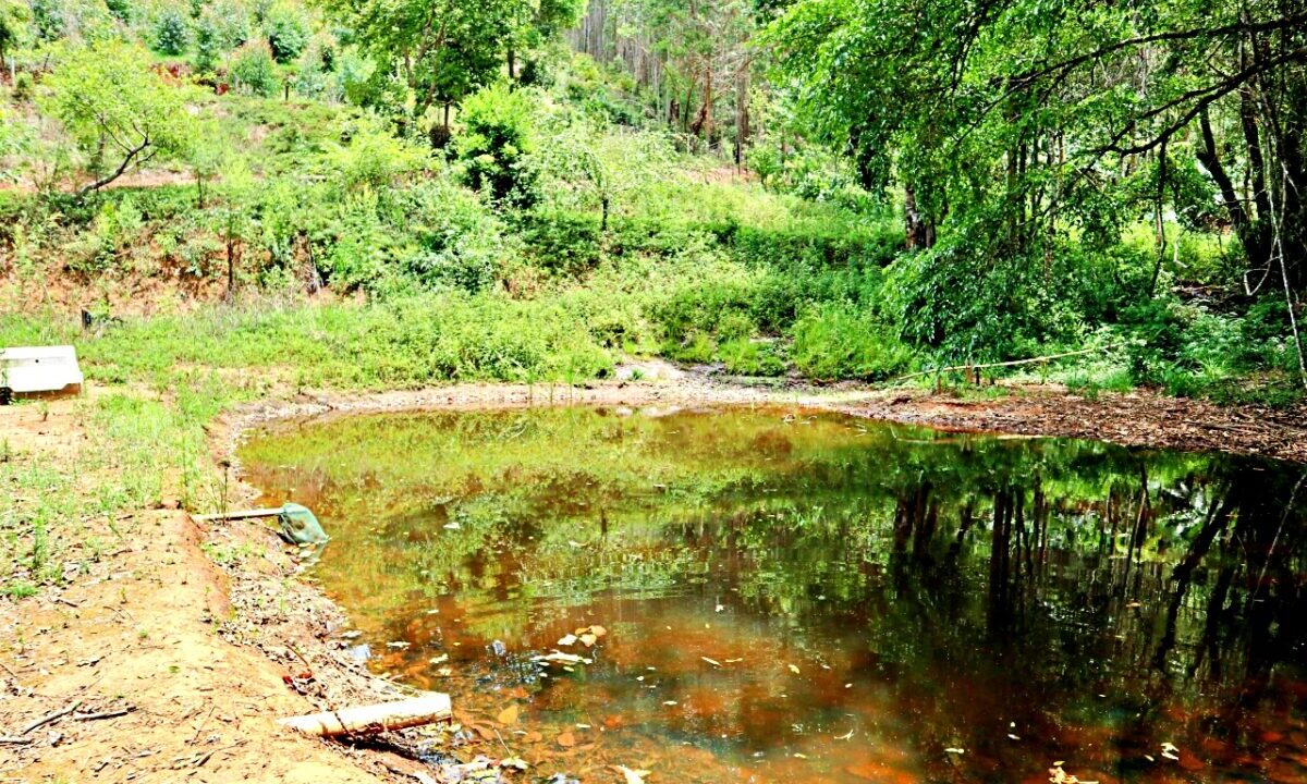 chácara 12.000 metros a venda em joanópolis (14)