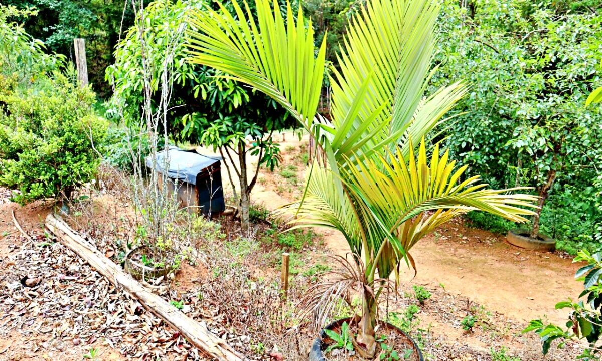 chácara 12.000 metros a venda em joanópolis (34)